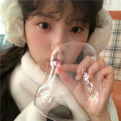 什么鸟日子